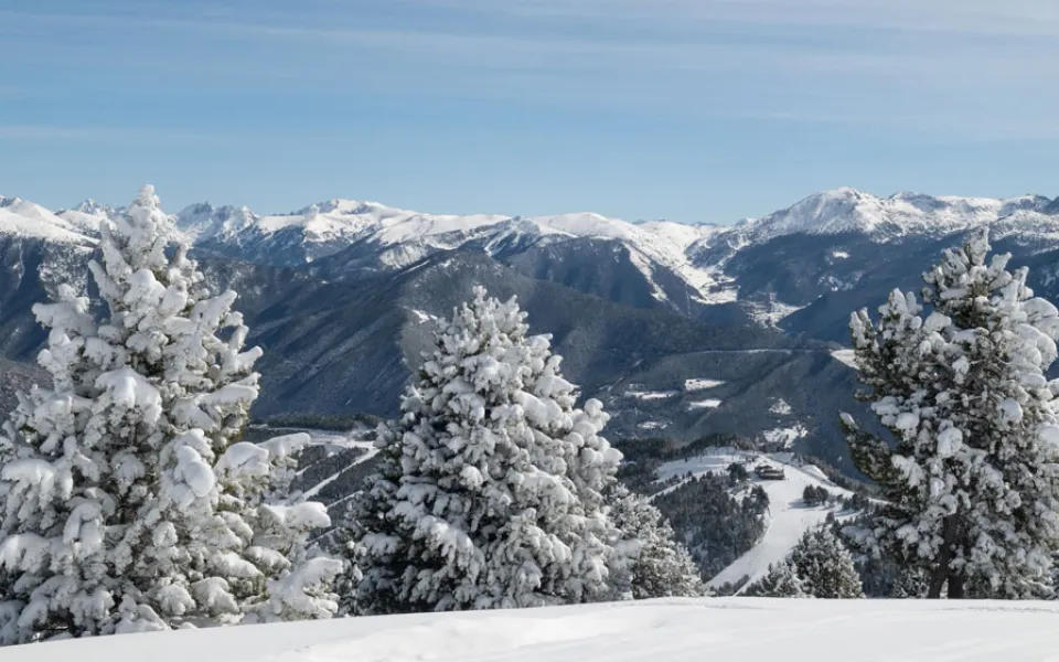 chien-montagne-pyrenees