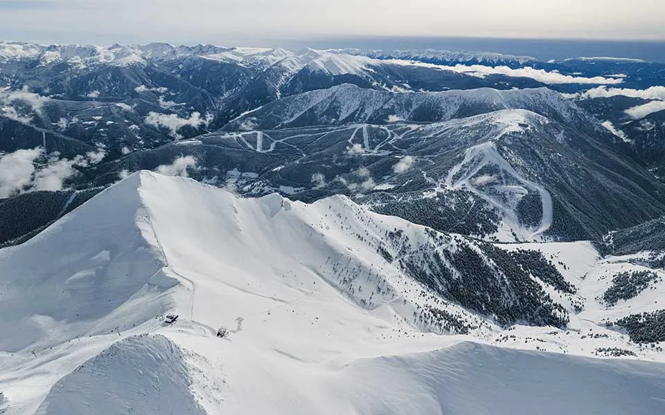 Pal arinsal