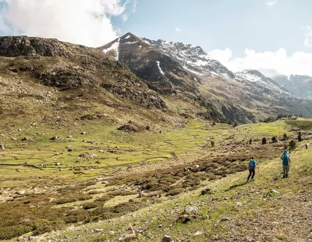 ropa trail running