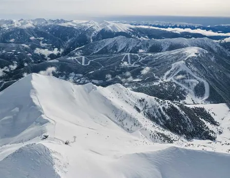 Pal arinsal
