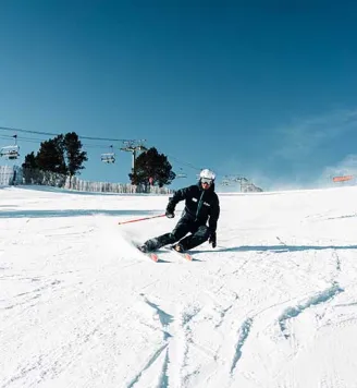 Classe particula Pal