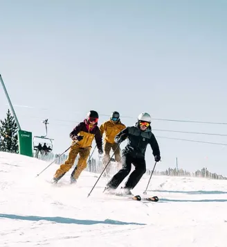 Oferta pal arinsal