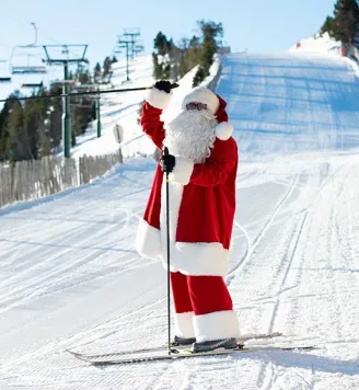 Oferta pal arinsal