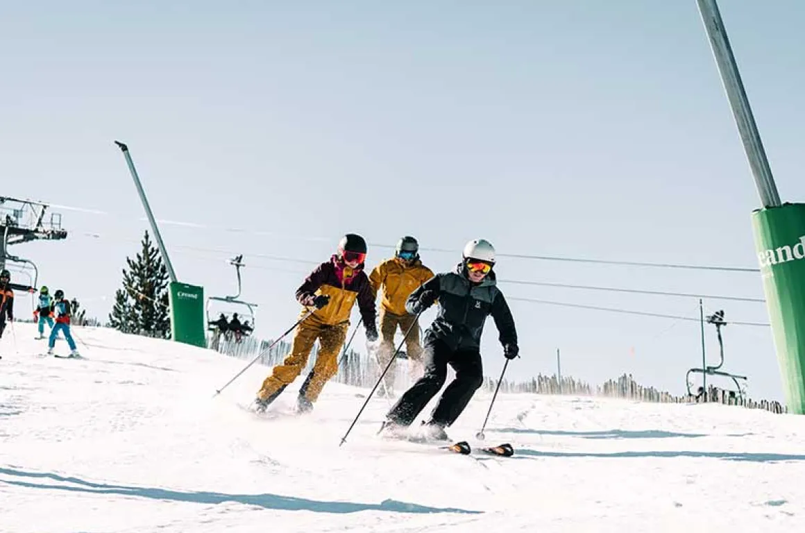 Oferta pal arinsal