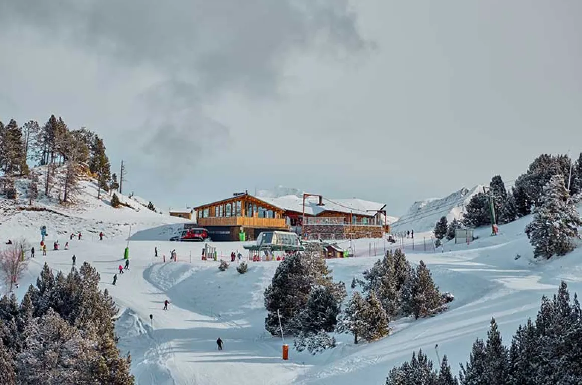 Oferta pal arinsal