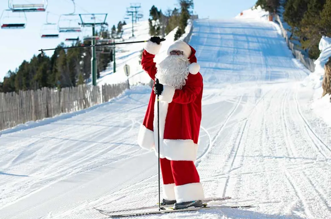 Oferta pal arinsal