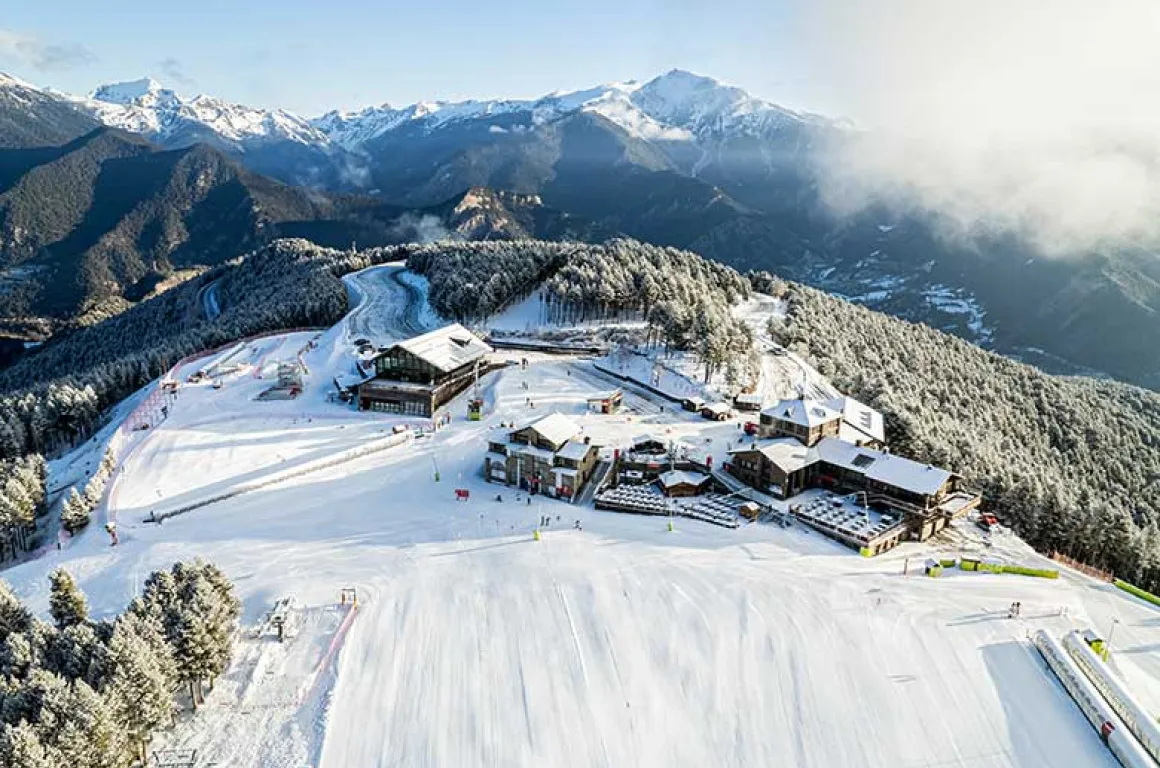 Oferta pal arinsal