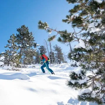 skimo pal arinsal