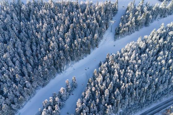 types-snow-skiing