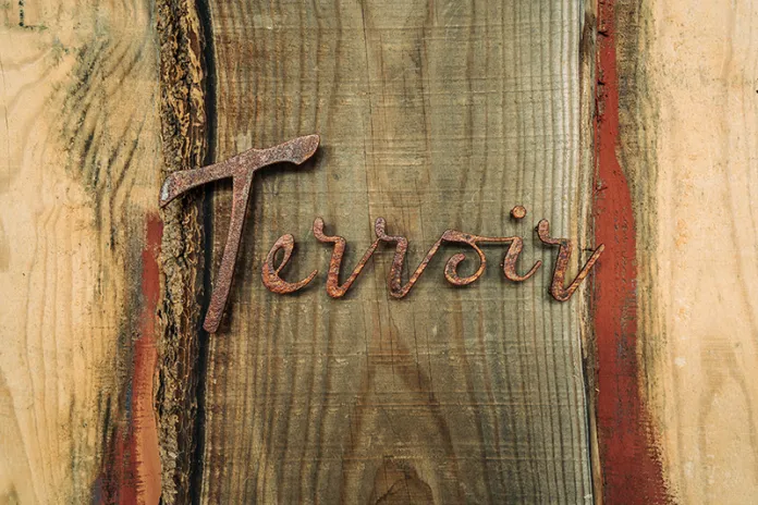 terroir
