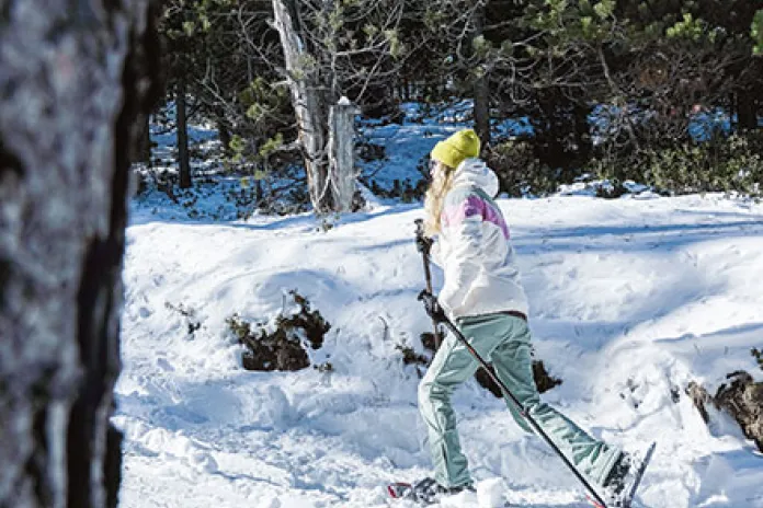 Raquetes de neu
