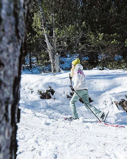 Raquetes de neu
