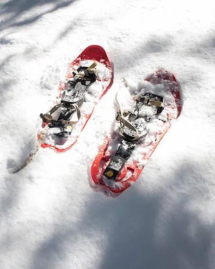 Raquetes de neu