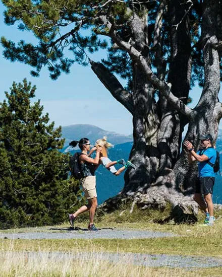 Verano Pal Arinsal 